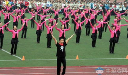 广场舞视频大全免费下载,舞动健康，乐享生活