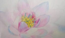 水彩画视频,跟随视频探索色彩魅力