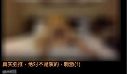 有黄色视频吗,警惕黄色视频的传播与危害