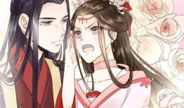 漫画代嫁丞相,代嫁丞相的甜蜜逆袭